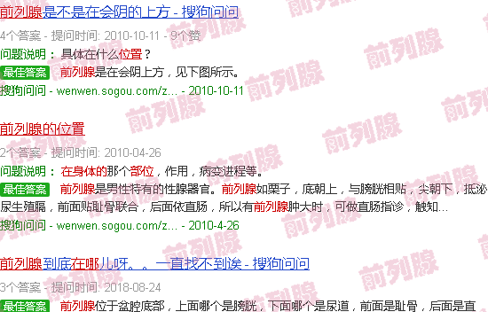 汕头前列腺在人体的位置图